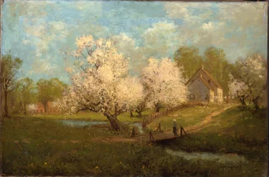 Fleurs de printemps