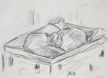 Chats nichés, 2015
