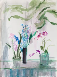 Florist Grey Day, 2017