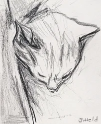 Chat dormant, 2015