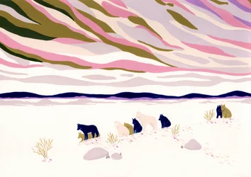 Des loups de l