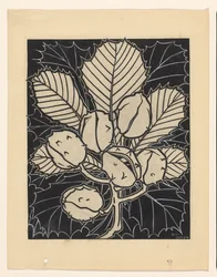 Feuille de châtaignier avec fruits
