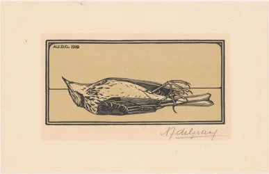 Petit oiseau mort