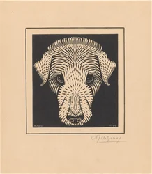 Tête de chien