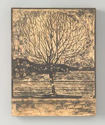 Arbre nu