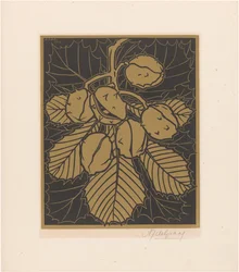 Branche de châtaignier