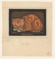 Chat cyprès allongé