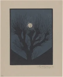 Nuit de lune