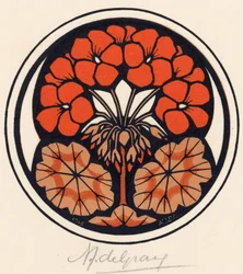 Cerise des Indes orientales