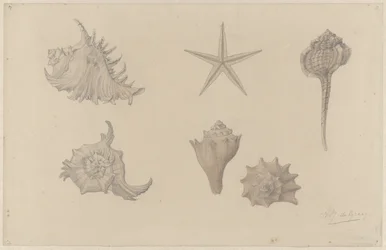 Feuille d