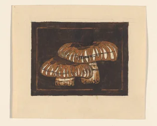 Deux champignons