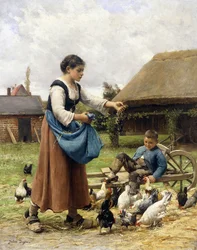 Dans la cour de ferme