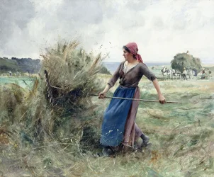 Paysanne et foin