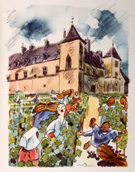 Vignoble français. 1944. Illustration de Julien Pavil