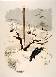 Illustration humoristique de vin 1946
