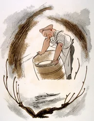 Illustration humoristique de vin 1946