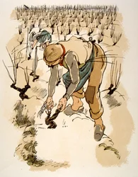 Illustration humoristique de vin 1946. Illustration par Julien Pavil