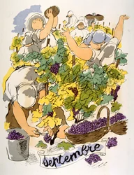 Illustration humoristique de vin 1946