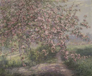Pommier en fleurs (huile sur toile)