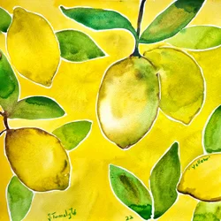 Zeste de citron vif