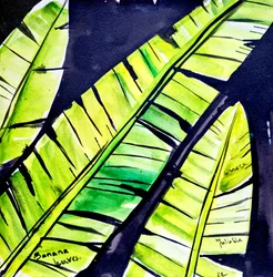 Feuilles de bananier aux couleurs vives