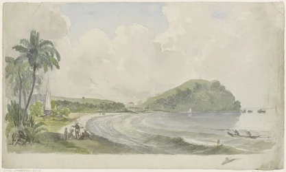 Paysage côtier tropical