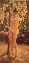Nu féminin sous un arbre ombragé