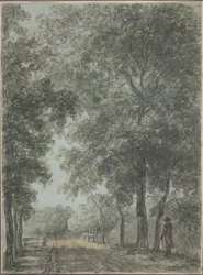 Un chemin boisé à Treslong, près de Hillegom