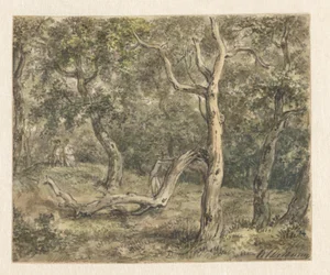 Un couple assis dans les bois