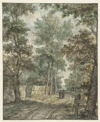 Promeneurs sur un chemin forestier près de Heemstede