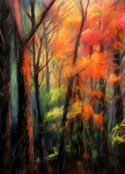 Lueur de la forêt en automne