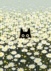 Chat noir dans un pré de marguerites
