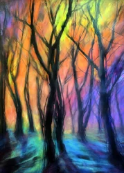 Lumières de la forêt enchantée