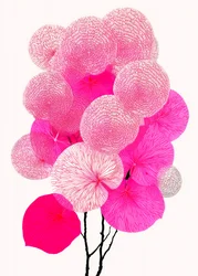 Motifs botaniques roses contemporains