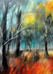 Une forêt automnale aux couleurs chatoyantes
