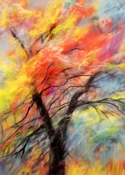 Un arbre aux couleurs chatoyantes en automne