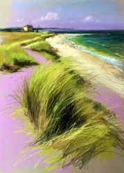 Des dunes de plage aux couleurs éclatantes