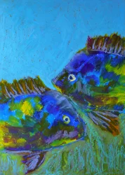 Poissons tropicaux vibrants