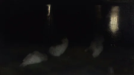 Nocturne. Cygnes dans le Jardin Saxon à Varsovie la nuit