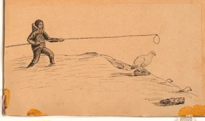 Chasse au lagopède avec une longue perche et un nœud coulant