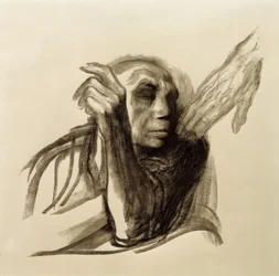 Käthe Kollwitz, L