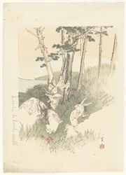 Lapins et une taupe