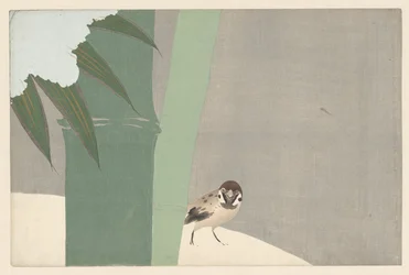 Bambou dans la neige, 1909