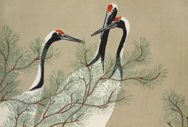 Les grues de Momoyogusa