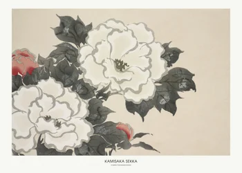 Fleurs de Momoyogusa