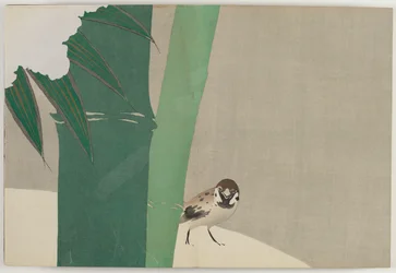 Fleurs de Cent Mondes (Momoyogusa) : Bambou sous la Neige