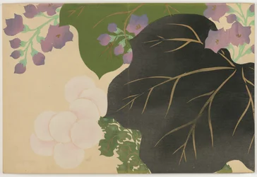 Fleurs de cent mondes : Chrysanthème et Paulownia