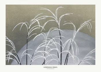 Frost, de Momoyogusa