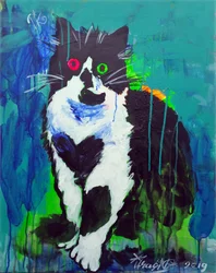 Chat abstrait coloré