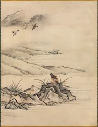 Fleurs et oiseaux dans un paysage printanier